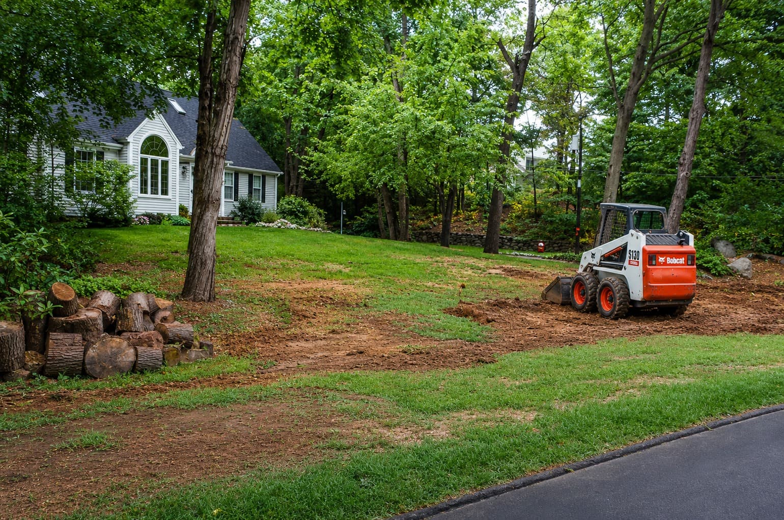 Lawn area disturbed for soil work and regrading while restoring grub-damaged turf