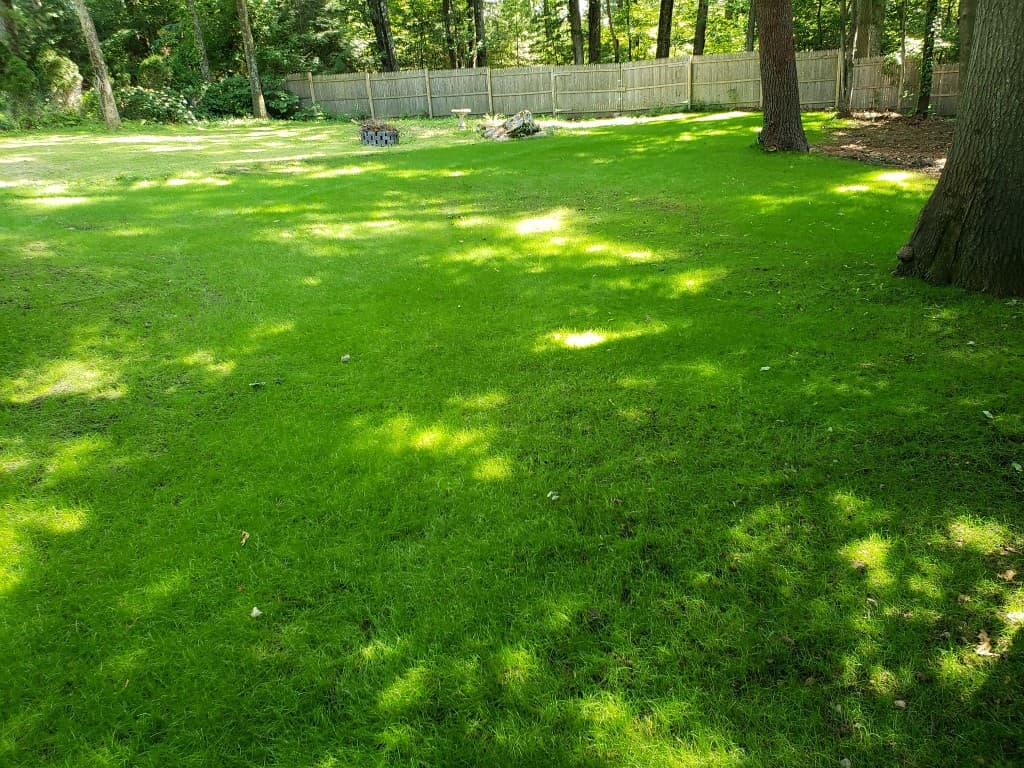 Open green lawn after clearing, grading, and lawn installation