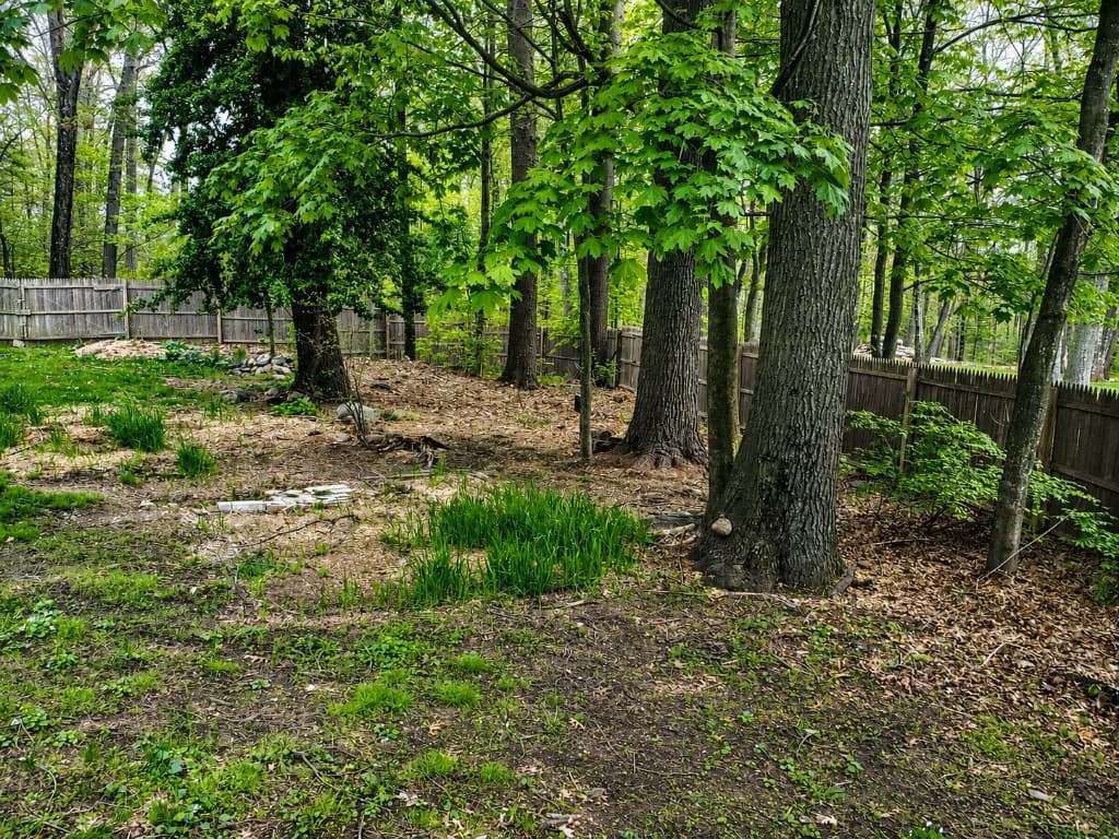 Partially wooded backyard with exposed soil, mulch, and fence before clearing and lawn prep